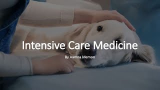 Veterinary ICU | Intensive Care Unit | Learn ABC of Intensive care in animals