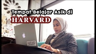 Tempat-tempat Belajar Asik di Harvard!