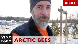 Are the Bees Alive? ❄️ Winter Hive Check ❄️