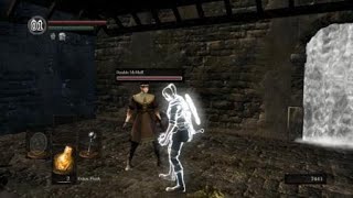 DARK SOULS™: REMASTERED - Synchronized Gestures