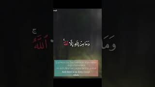 محمود شحات مقطع سورة ال عمران (إن هذا لهو القصص الحق) MAHMUD ŞAHHAT ALİ İMRAN SURESİ TİZ KESİT 🥰