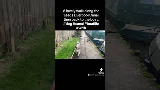 A lovely walk along the Leeds Liverpool Canal then back to the boat. #dog #canal #boatlife #walk