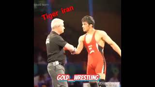 hassan iazdani       tiger   iran