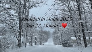 In Maine today! Jan.23 Monday, 2023.😶‍🌫️Winter wonderland like.🤗🥶