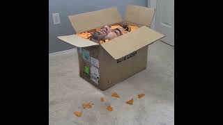 Man eating doritos in box