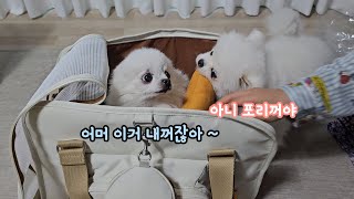 어때 내신상 이동가방! 협찬이지만 찐으로 감탄하고 추천하는 몽모아티 어썸백!