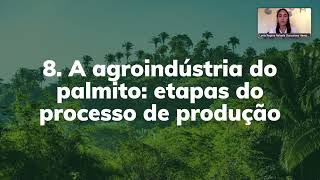 A Agroindústria do Palmito