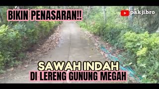 BIKIN PENASARAN!! SAWAH INDAH DI LERENG GUNUNG MEGAH.@pakjibro9322