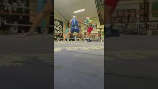 Conor Mcgregor DESTROYS sparring partners 😱 #SHORTS