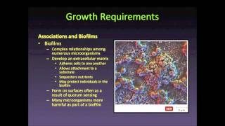 Associations and Biofilms