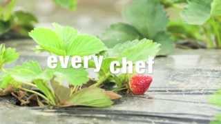 Oliver Kay Fresh Produce | Defined by Nature