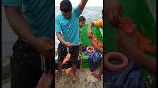 RED GROUPER FISH | IKAN GERAPU MERAH #shorts  #REDFISH #spearfishing