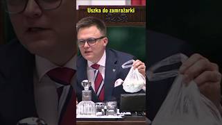 Uszka do zamrażarki Hołowni #shorts #sejm