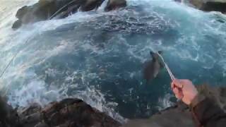 Rock (iso) fishing along the east coast of Australia