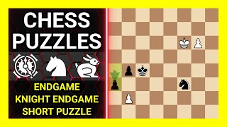 Chess Puzzles to Practice. Themes: Endgame, Knight endgame, Short puzzle. Learn Chess