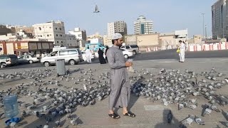 Eid ul Adha In Madina | Eid Ul Adha 2022 Saudi Arabia | Mohammad Hussain