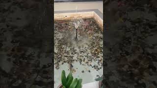 Small leaf net for fish tank and pond