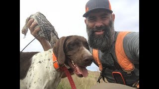 Nebraska Sandhills Prairie Grouse 2018