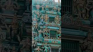 Muruga #sasti #murugan #murugantemple #murugansongs #muruga #shorts #short #shortsfeed#ytshorts#new