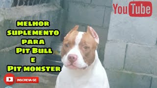 Melhor suplemento para Pit Bull e Pit monster!!