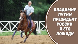 ПУТИН и  его красавцы Лошади