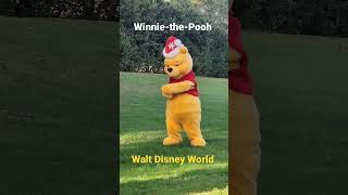 Winnie-the-Pooh,  Walt Disney World Florida #Funny #Kids #Disneyworld