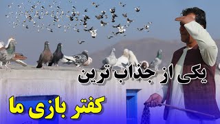 یکی از جذاب ترین کفتر بازی امروز ما/عبدالباقی سلطانی 038Afghan Shawqi