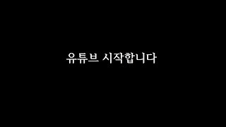 묘태후 유튜브 스타트