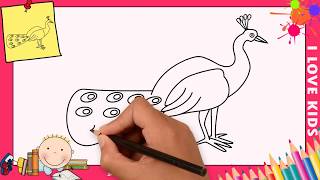 Disegni di pavoni FACILI per bambini | Come disegnare un pavone 2