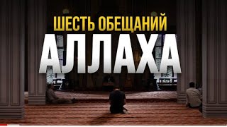 6 Обещаный АЛЛАХА