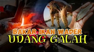 BAKAR IKAN WADER DAN UDANG GALAH