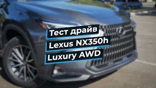 Обзор Lexus NX 350 h AWD 2025 года. Цена и комплектация!