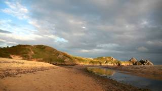 Three Cliffs Bay Animals