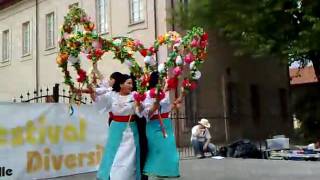 Danza del Ecuador 2