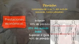 ¿Qué es una mutualidad? | Don Prevención