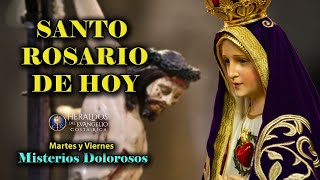 🙏🏻 Día de La Virgen de los Ángeles Misterios Dolorosos del Santo Rosario | Viernes 2 de Agosto 2024