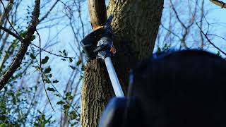 🌳 Introducing the Batavia Nexxsaw Telescopic Pole: Your Ultimate Pruning Solution!