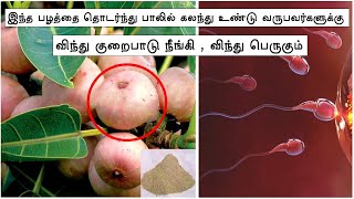 விந்து குறைப்பாட்டை சரிசெய்யும் பழம் - Vinthu