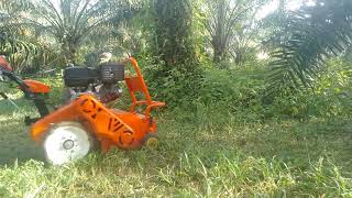 Menghancur (mulching) semak di kebun sawit, guna self-propelled Ogawa XT600 - 15hp 420cc injin OHV.