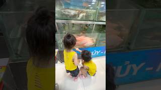 Siêu thị cá các bạn ơi! | Minh Minh Family #shorts #viral #trending #shortsvideo