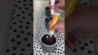 #decorating #cupcake #suscribe #viral #trending #wow #shorts #amazing #fypシ