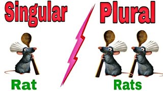 Singular & Plural For Kids || Singular - Plural || Kidos Edu Point