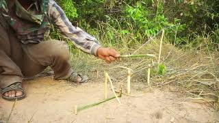 Creative Unique DIY Wild Chicken Trap Using Bamboo Wood / How To Trap Wild Chicken