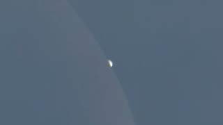 9 Nov 2023 Lunar occultation of Venus