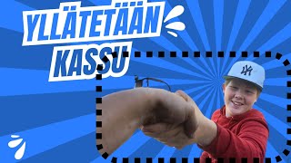 YLLÄTETÄÄN KASSU!