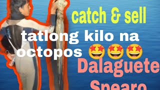 Naka-chamba ng malaking pugita, night dive from March 14 to 15, 2022 mga kaHapulas: catch & sell,