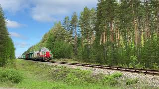 |VR Transpoint| freight train T 4673 (Rsu → Plt) closing Viinijärvi station.