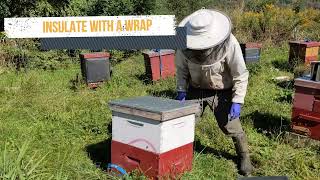 Tips for Winterizing Your Hives