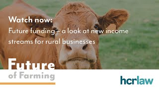 Future funding – a look at new income streams for rural businesses