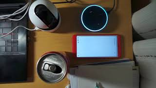 IP Camera with Alexa - Snapshot to Line Application